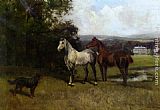 Horses Canvas Paintings - The Colonels Horses and Collie